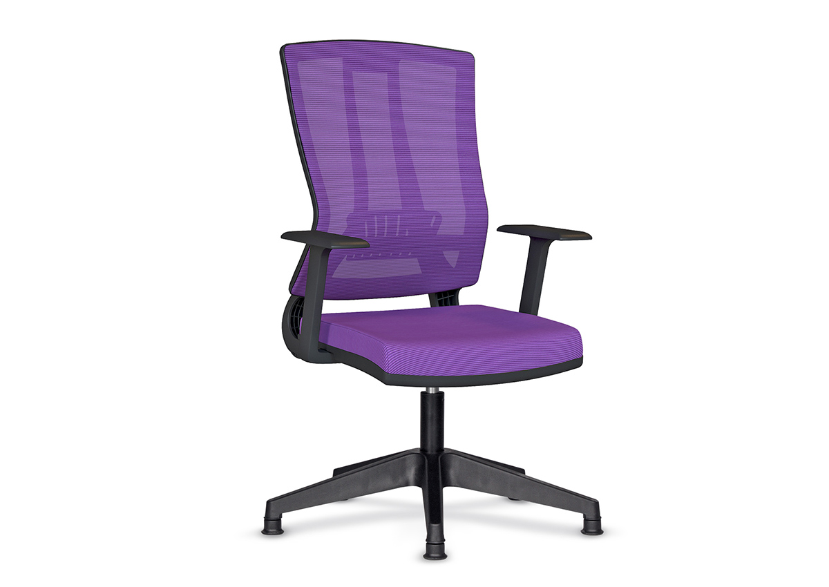 Eden Misafir Koltuğu